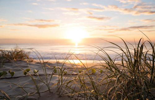 Natur Hof Fehmarn - Foto 36