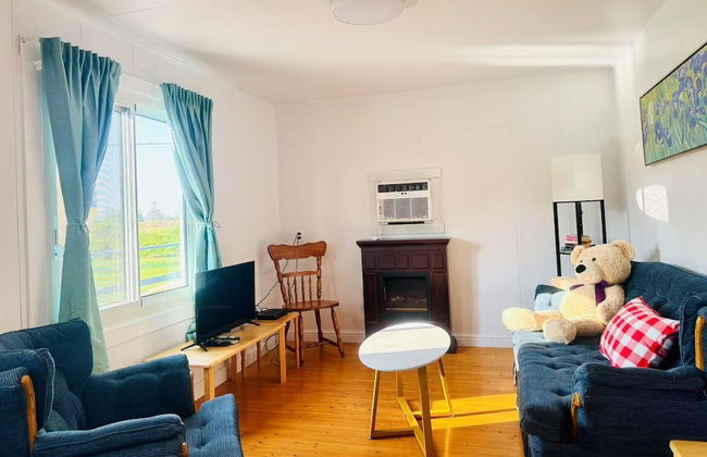 Skyline Terrace Cottages - Foto 55