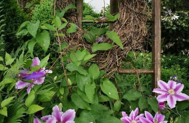 Ferienwohnung "No. 70" - Foto 19