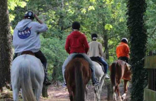 Casa de campo - Foto 15