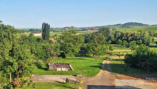 L'Horizon du Vignoble - Foto 2, Garden
