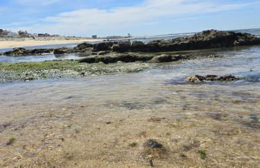 Casa Pedra da Nau- 2 bedroom APT @Figueira da Foz - Foto 6