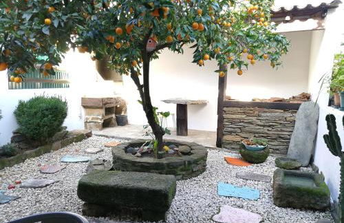 Cozy Xisto - Foto 52