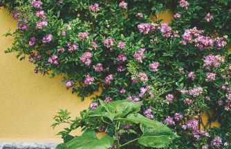 Blickinsfreie - Photo 76