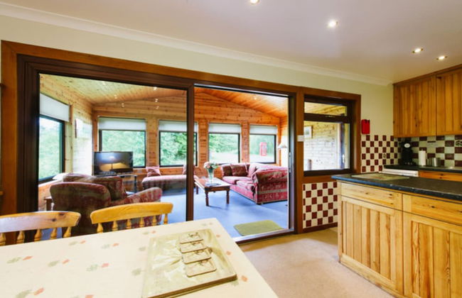 The Buzzard - Foto 10