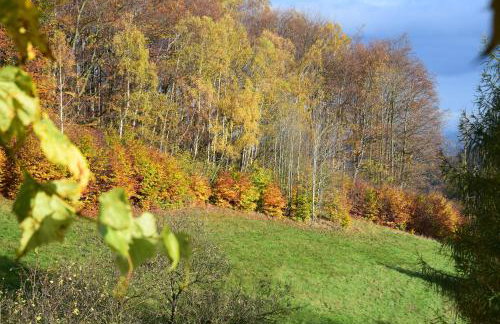 Studio Gościnne ANTEK - Foto 32
