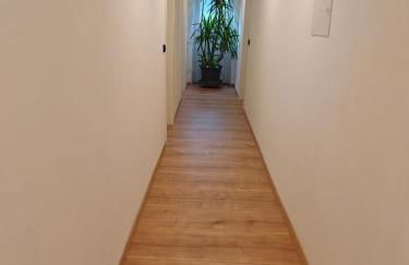 New 3 Zimmer Wohnung - Foto 18