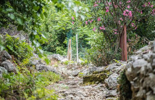 Nera Etwa House - Photo 64