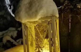 Haus Waldesruh - Foto 25