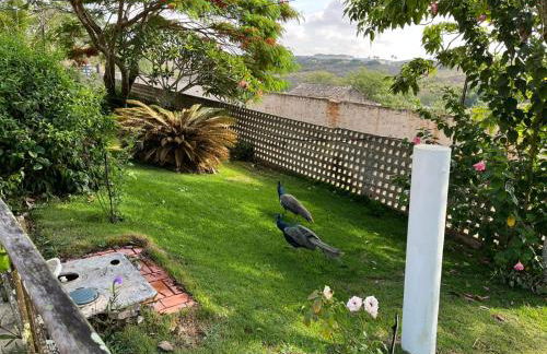 Casa em Garanhuns - Fazenda Bela Vista - Foto 38