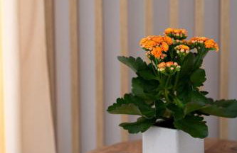 Amersa Luxury Apartments - Foto 56