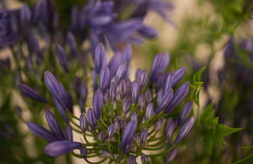 Casa Amorim Girão - Foto 18