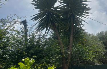 L'Open bord de mer - Foto 16