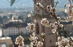 Ansitz Thierburg Suites - Photo 6