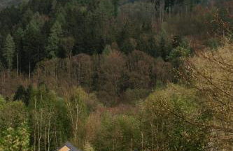 Brzozowa Osada - Foto 9