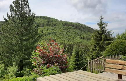 Ferienwohnung Waldblick Winterberg - Foto 11