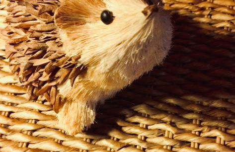 Casa do Ouriço - Foto 17