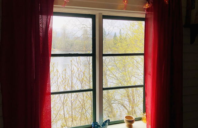 Tranquil Lakeside Cottage Retreat - Foto 21