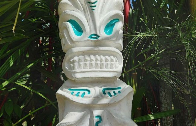 VILLAGE TEMANOHA - Foto 17