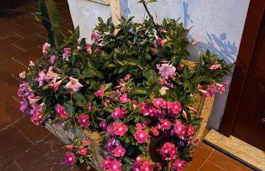 L'orchidea del faro - Foto 20