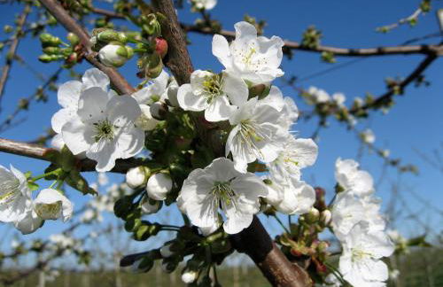 Apartment am Lühedeich - Foto 25