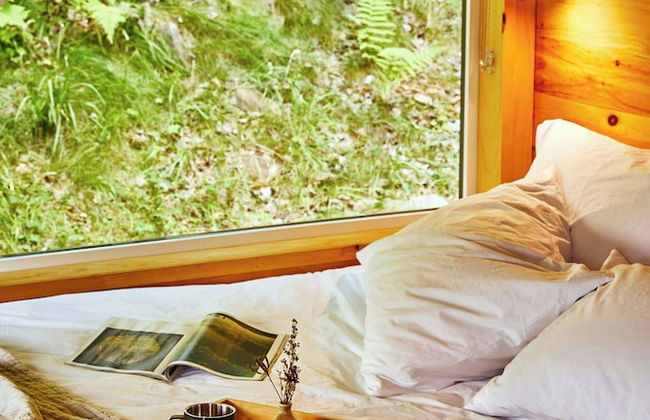 Postcard Cabins Machimoodus, Outdoor Collection by Marriott Bonvoy - Foto 4