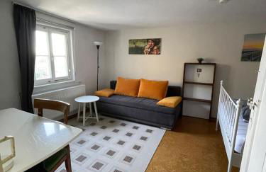 Grand Apt 1777 Neckarmühle - Foto 18