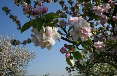 Villa Mandelblüte - Foto 28