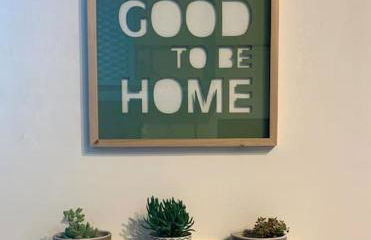 Lovely studio flat in Bocconi - Foto 13