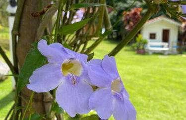 Casa de Campo Chácara Recanto da Águia - Foto 34