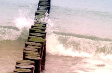 BSW-Ferienwohnungen Kühlungsborn - Foto 6