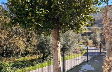 Casa dos Doces - Foto 9