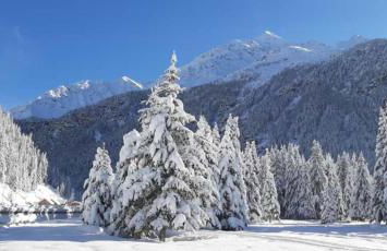 Casa Michela Trilocale Mansardato - Foto 28