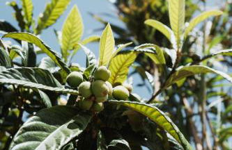 Kodu Lodge - spacious 2 storey coastal home with balcony, sea view, garden & BBQ - Foto 45