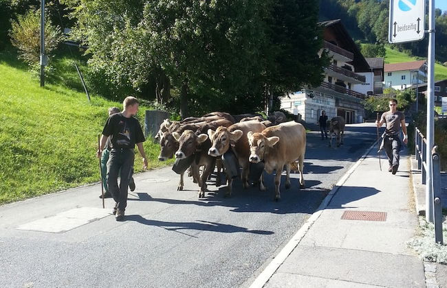 Elfe-apartments Studio Apartment for 2 Guests - Foto 26