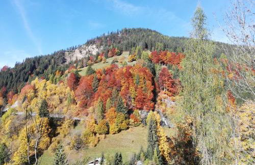 Cesa de Conesel - Foto 57