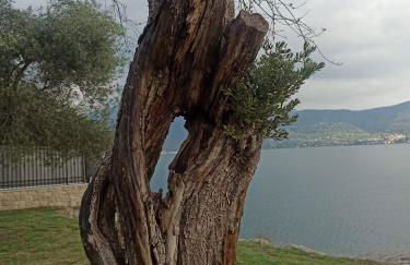 Holiday house - Leo & Malù - Foto 22