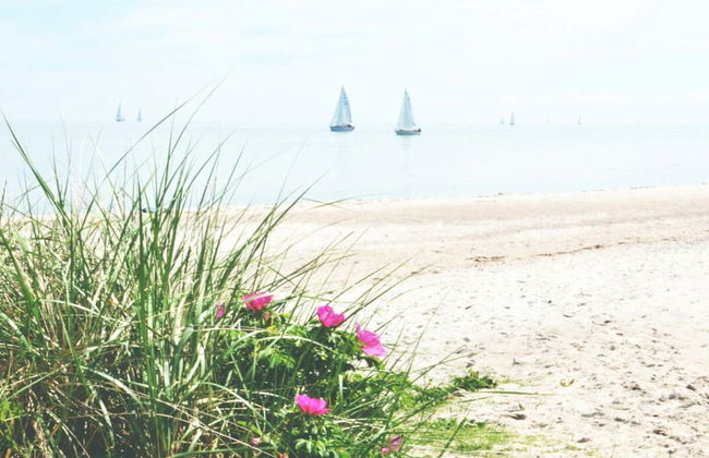 Cathedral day "hygge" - Foto 20