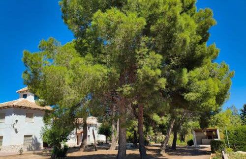 Casa Rural "La villa del pistacho" - Foto 10