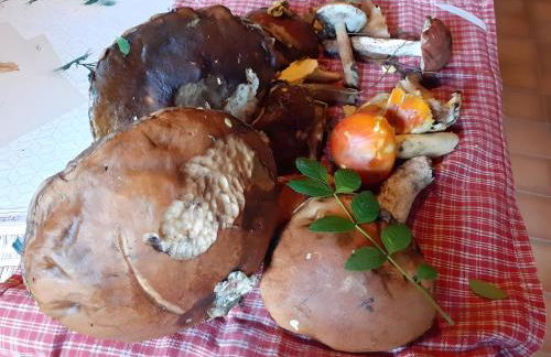 Le chant de la rivière - Foto 27