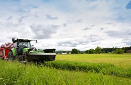 Springerhof - Foto 11