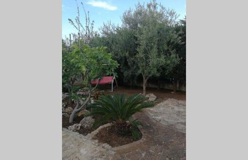 Villa Arenella - Foto 38