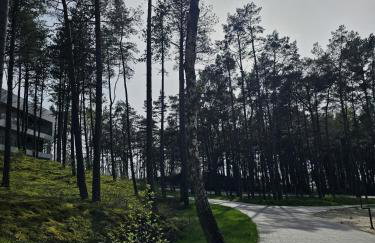 Rogowo Shellter Apartament Premium przy plaży - Foto 47