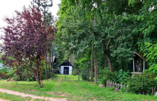 Domek w Lesie Bory Tucholskie - Foto 30