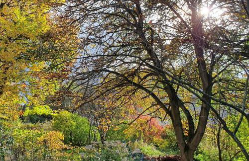 Ferien Fachwerkhaus - Foto 11