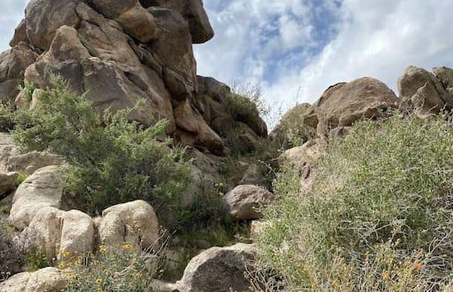 Cozy Rustic Home Minutes to Joshua Tree Nat l Park - Photo 32