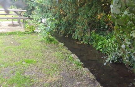 4 Bed-2 Bath-Bar-Pool Table-Library- Xmas venue - Photo 17