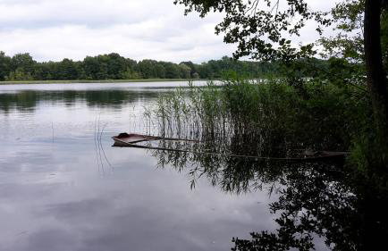 Agroturystyka Polana Harmonii - Foto 33