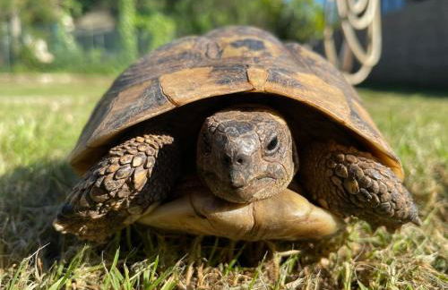 Casa Camilla - Foto 38