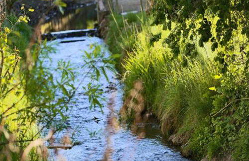 Ferienwohnung mit Sauna in Lothe - Foto 67